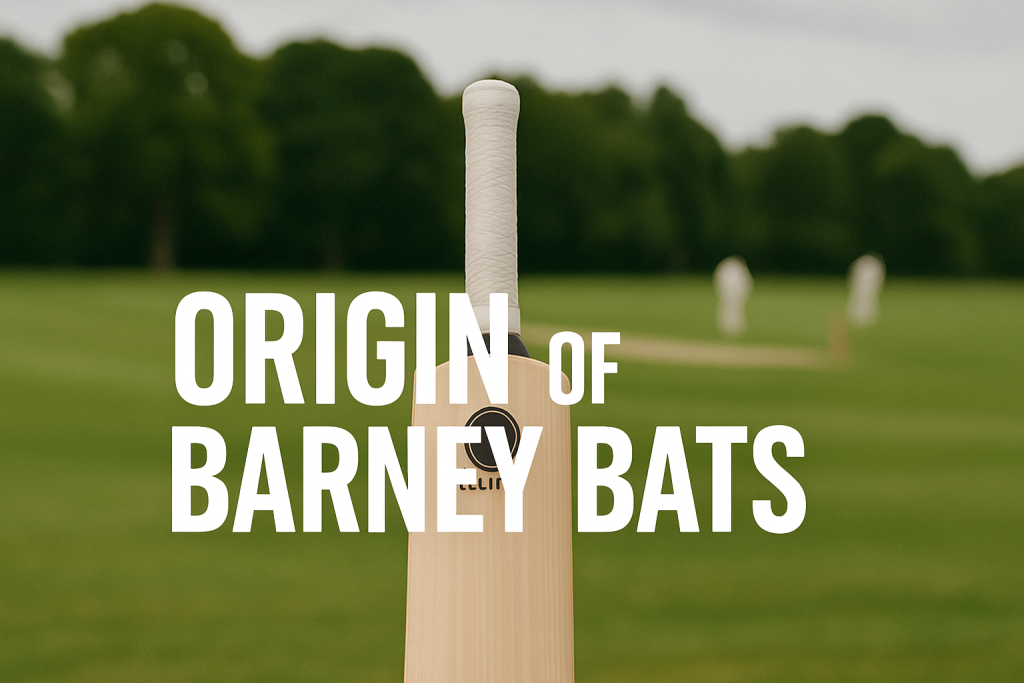 Origin of Barney Bats