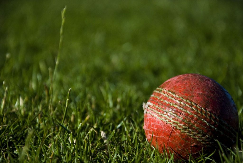 Order Form Cricket Repair Service